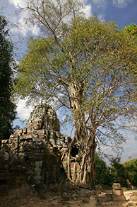 photographie Cambodge, temple d'Angkor